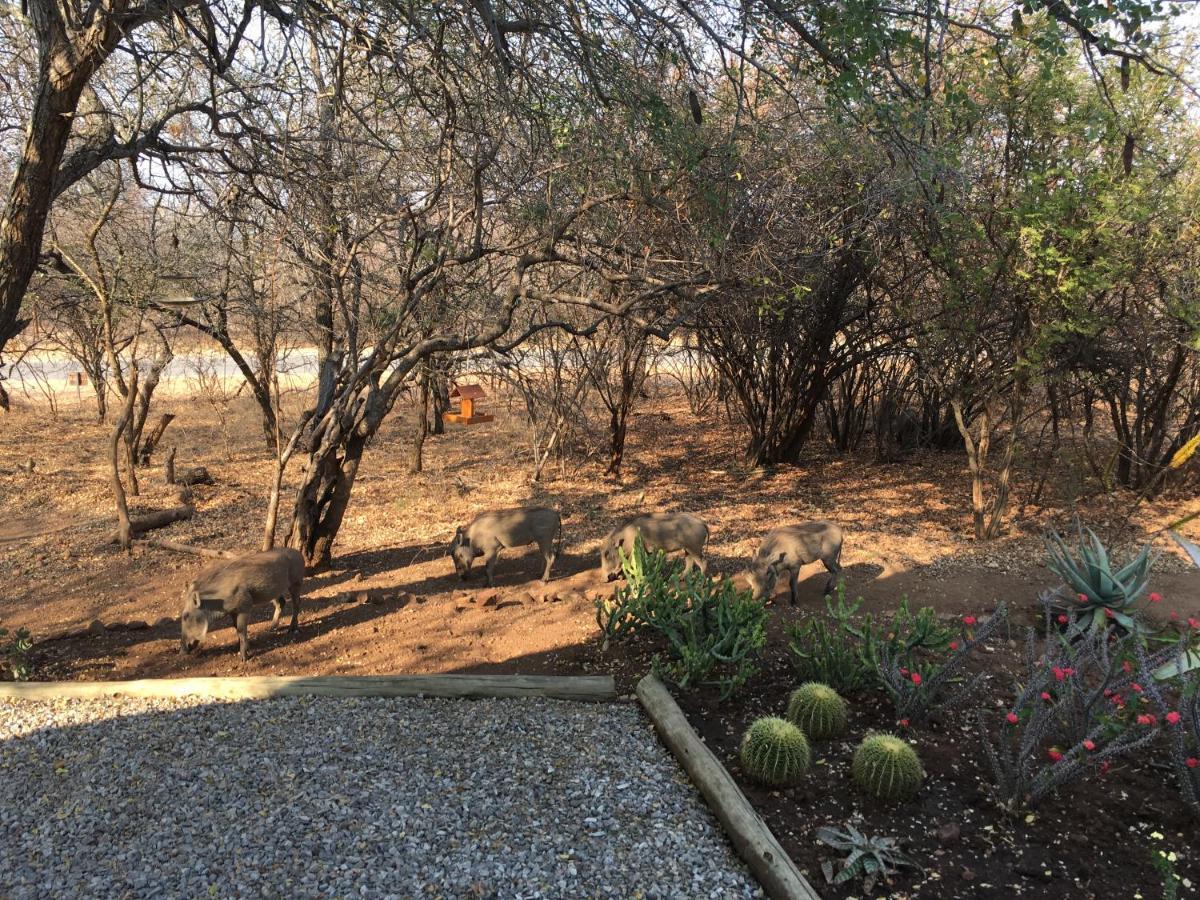 Giraffe Lodge Hoedspruit Exteriér fotografie