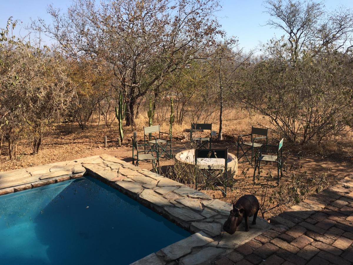 Giraffe Lodge Hoedspruit Exteriér fotografie