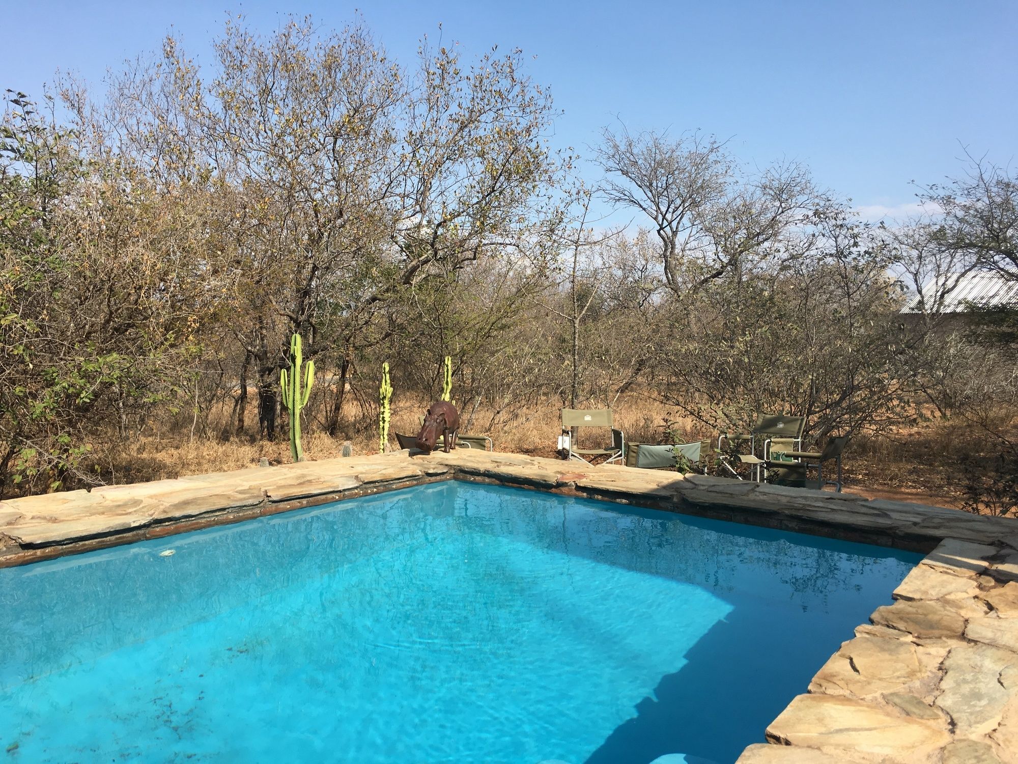 Giraffe Lodge Hoedspruit Exteriér fotografie